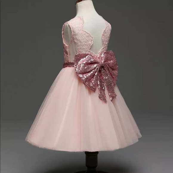 🎀New! Blush Pink Tutu Sparkly Bow Lace Dress - Picture 4 of 8